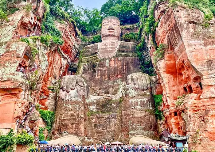 1 Day Chengdu Panda & Leshan Giant Buddha Tour