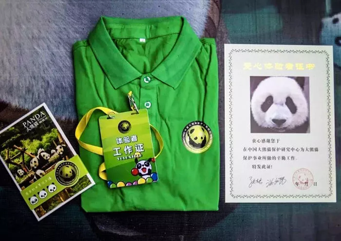 1 Day Dujiangyan Panda Volunteer Tour