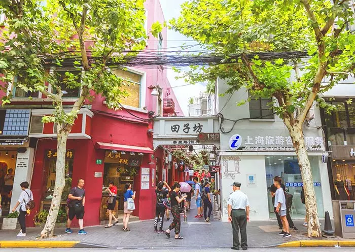 1 Day Shanghai Museum Tour