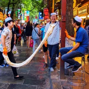 1 Day Xian Cultural Tour