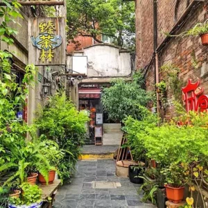 11 Days Shanghai Zhangjiajie Tour