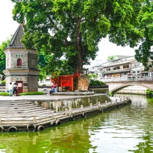 3 Days Guangzhou Shenzhen Tour: From Southern Gateway to Silicon Valley of China