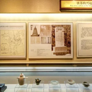 3 Days Hong Kong Shenzhen Urban Landscape Tour by High Speed Train