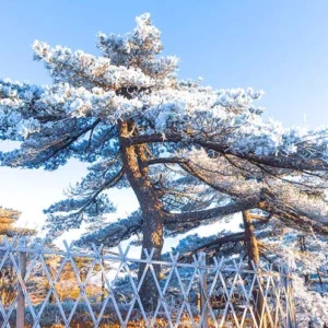 4 Day Huangshan Heritage Tour: Yellow Mountain, Hongcun & Xidi Ancient Villages