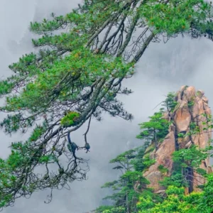 5 Days Huangshan & Wangxian Valley Tour via Huangling Village