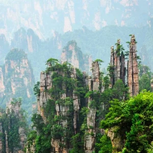 8 Days Miraculous Nature Tour