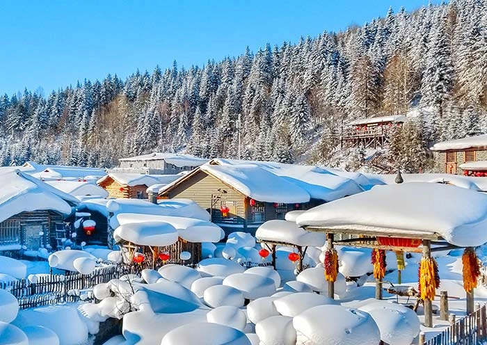 5 Days Harbin & China Snow Town Tour: From Ice Kingdom to Snowy Fairy Tales