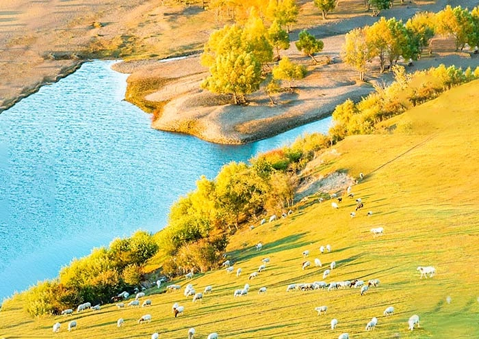 5 Days Hulunbuir Grassland Tour: Inner Mongolia Summer Vacation