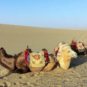 5 Days Colorful Gansu Tour from Zhangye to Jiayuguan & Dunhuang