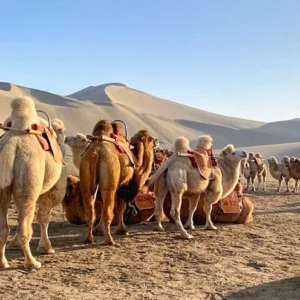 5 Days Dunhuang Zhangye Tour by High-speed Train: A Glimpse of Gansu Corridor