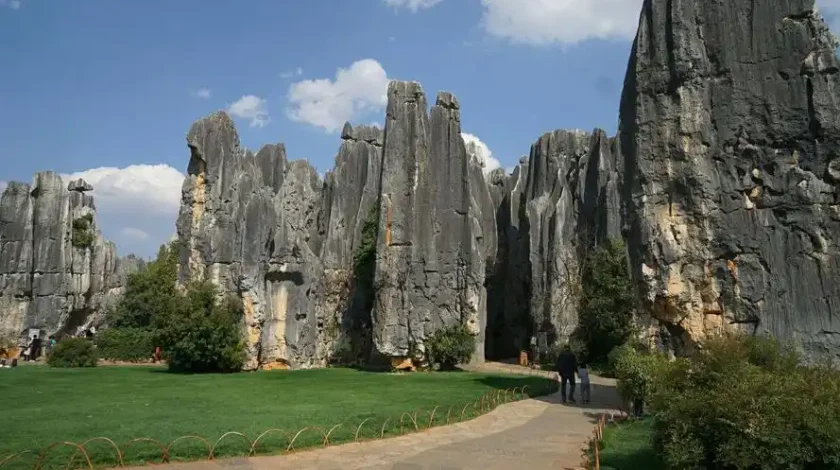 the Stone Forest