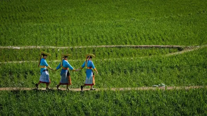 Visit an ethnic minority family