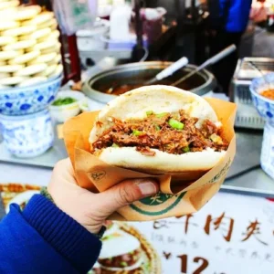 Xi'an Highlights Day Tour