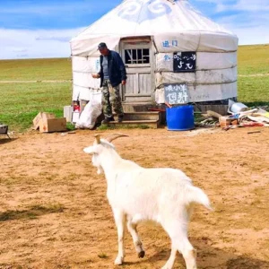 4 Days Inner Mongolia Grassland Tour - Uncover Mongolian Nomadic Life