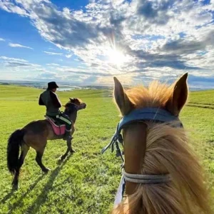 4 Days Inner Mongolia Grassland Tour - Uncover Mongolian Nomadic Life