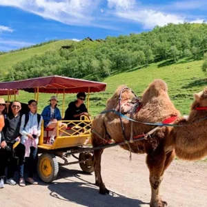 5 Days Inner Mongolia Tour from Beijing - Escape to Huitengxile Grassland